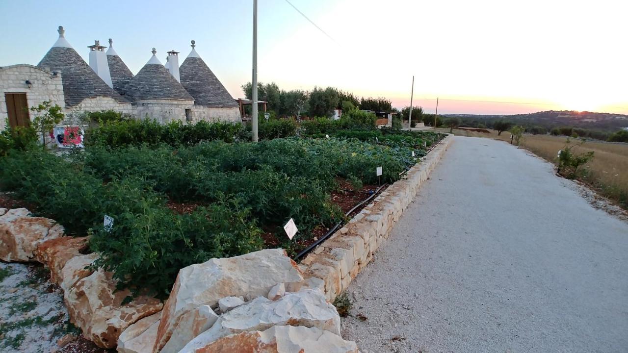 マルティナ・フランカ Trulli Il Castagnoゲストハウス エクステリア 写真