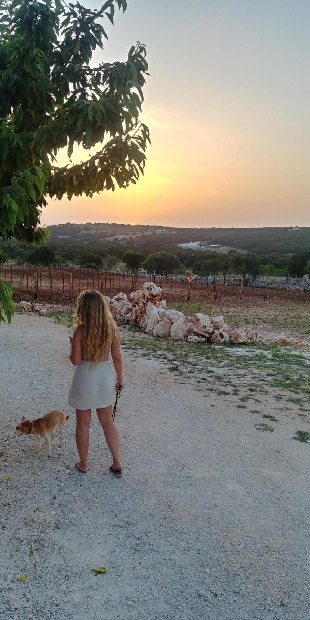 マルティナ・フランカ Trulli Il Castagnoゲストハウス エクステリア 写真