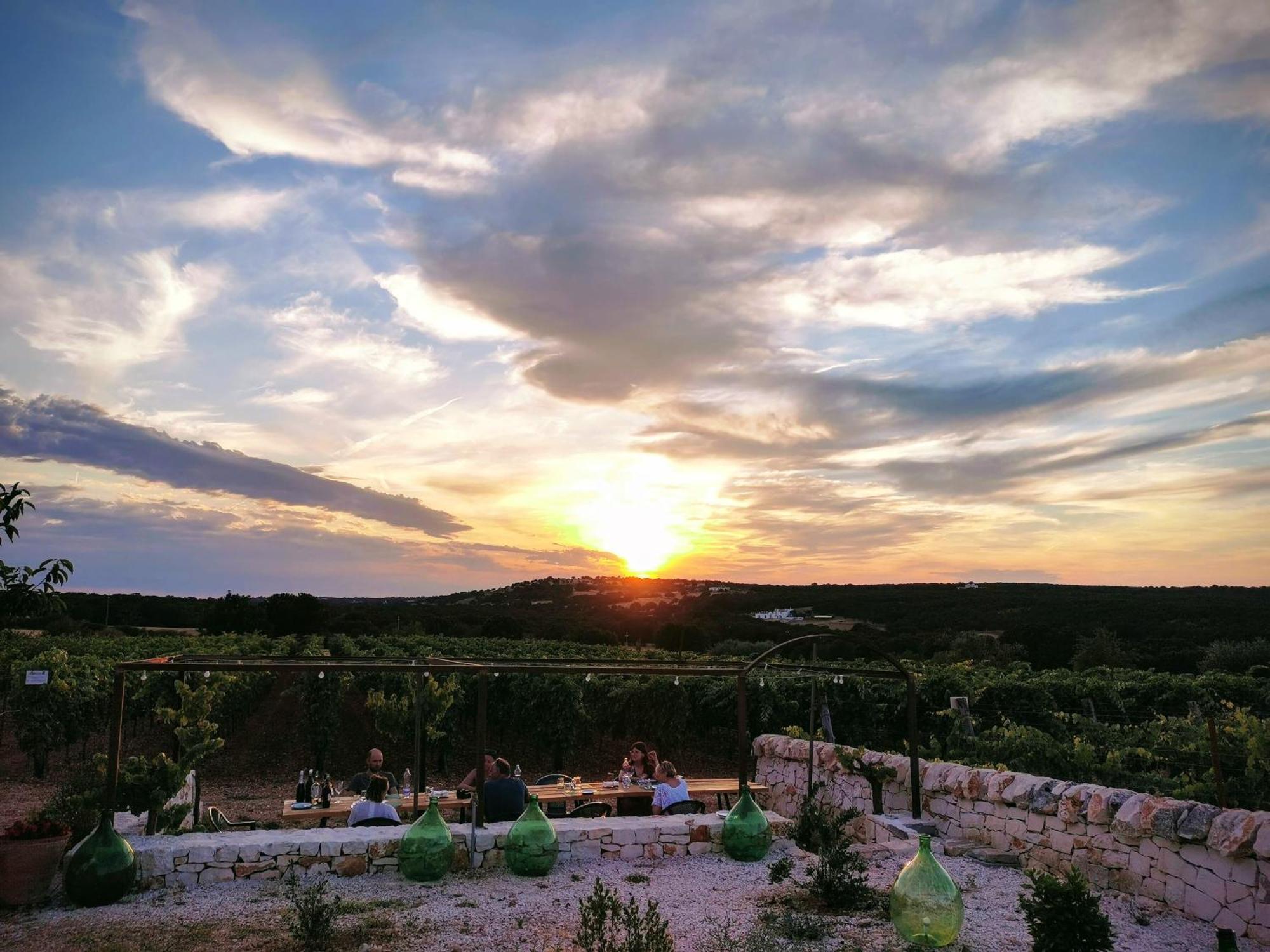 マルティナ・フランカ Trulli Il Castagnoゲストハウス エクステリア 写真